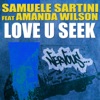 Love U Seek (Remixes) [feat. Amanda Wilson]