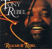 Tony Rebel - Perilous Times