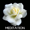 Méditation - Meditation Club