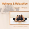 Wellness and Relaxation ~ Gentle Fitness