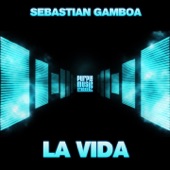 La Vida (Original Mix) artwork