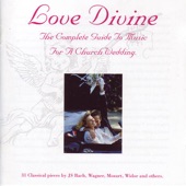 Love Divine, All Loves Excelling artwork
