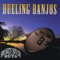 Dueling Banjos cover