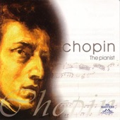 Chopin: The Pianist artwork