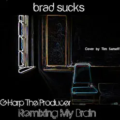 Remixing My Brain (The I Don't Know What I'm Doing Remixes) - Brad Sucks