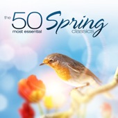 The 50 Most Essential Spring Classics artwork