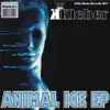 Stream & download Animal Ice - Single