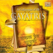 A Collection of 25 Gayatris artwork