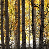 27 - Good Times Roll