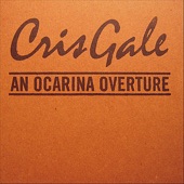 An Ocarina Overture artwork
