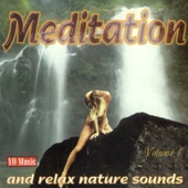 Relax Music And Nature Sound 5 (Mixed with Classic Music) artwork