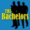 Ain't No Sunshine When She's Gone (Re-Recorded) - The Bachelors lyrics