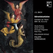 J.S. Bach: Advent Cantatas (Adventskantaten) artwork