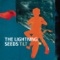 City Bright Stars - The Lightning Seeds lyrics
