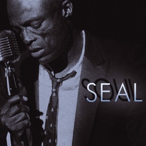 Seal - I've Been Loving You Too Long - 排舞 音乐