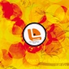 Let Go (Original Mix) - Single