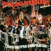 Wild and Wonderful – 2009 Calypso Compilation