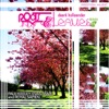 Roots & Leaves (Remixes) - EP