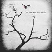 The Airborne Toxic Event - Wishing Well