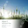 Without You (Original Mix) song lyrics