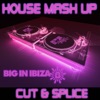 Big In Ibiza: House Mash Up (Cut & Splice), 2010