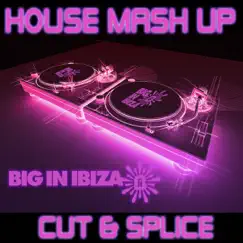 Big In Ibiza: House Mash Up (Cut & Splice) by Various Artists album reviews, ratings, credits