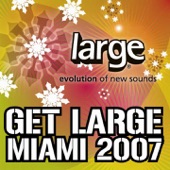 Get Large Miami 2007 artwork