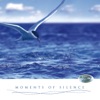 Moments of Silence (Momente der Ruhe) [Relaxation Music With Harp and Panpipes]