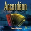 Accordéon Hits, Vol. 3