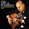 The Art of the Flamenco