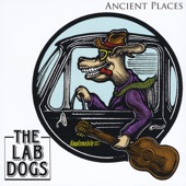 The Lab Dogs - The Rain Turned To Snow