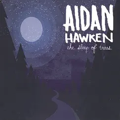 The Sleep of Trees by Aidan Hawken album reviews, ratings, credits