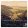 Ensemble Explorations & Roel Dieltiens - Piano Quintet, Op. 81: I. Allegro Ma Non Troppo