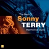 Harmonica Blues (The Best of Sonny Terry)
