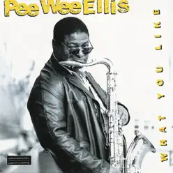 What You Like - Pee Wee Ellis