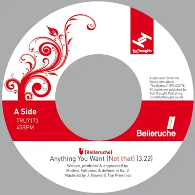 Anything You Want (Not That) - Single - Belleruche