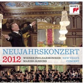 Neujahrskonzert 2012 / New Year's Concert 2012 artwork