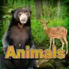 Animals album lyrics, reviews, download