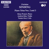 Sinding: Piano Trios Nos. 2 and 3 artwork