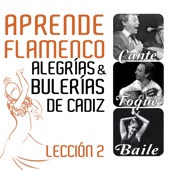 Aprende Flamenco. Alegrías y Bulerias de Cádiz: Lección 2 artwork