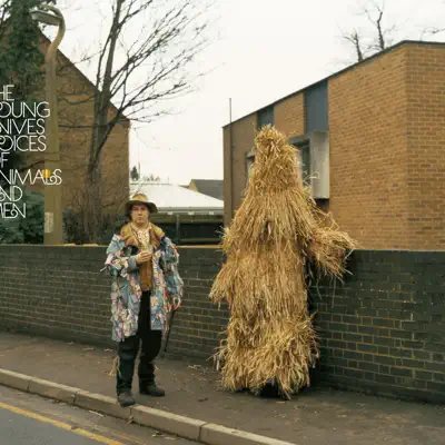 Voices of Animals & Men - Young Knives