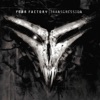 Fear Factory - Echo of My Scream