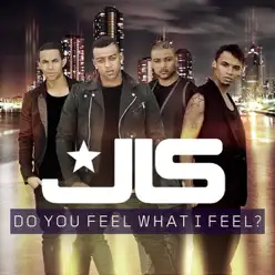 Do You Feel What I Feel? - Single - JLS