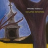 Howard Fishman - Baia Mare
