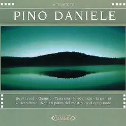 A Tribute To Pino Daniele - The Coverbeats A Tribute To Pino Daniele - The Coverbeats