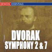 Symphony No. 9 In e Minor, Op. 95: IV. Allegro Con Fuoco artwork