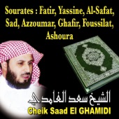 Sourates Fatir, Yassine, Al Safat, Sad, Azzoumar, Ghafir, Fussilat, Al Shura - Quran - Coran (Récitation coranique) artwork