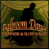 Ballroom Dance: Viennese & Slow Waltz artwork