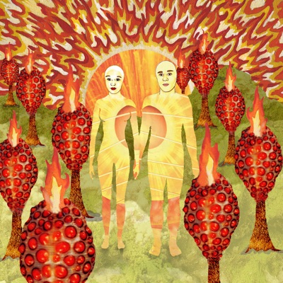 The Sunlandic Twins - Of Montreal