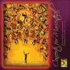 Concerto for Marienthal album lyrics, reviews, download